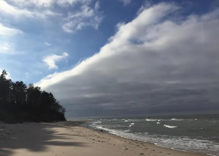 Dzikie Prázdninový dům *