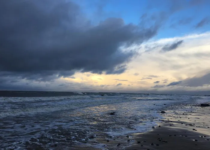 Dzikie Prázdninový dům